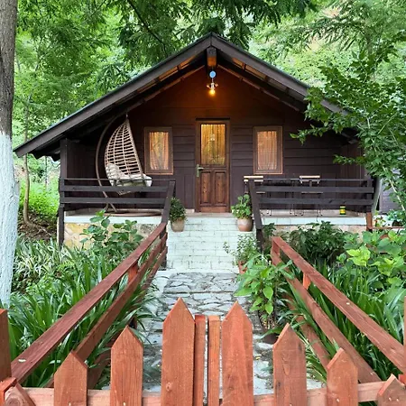 Chalet Blue Eye *